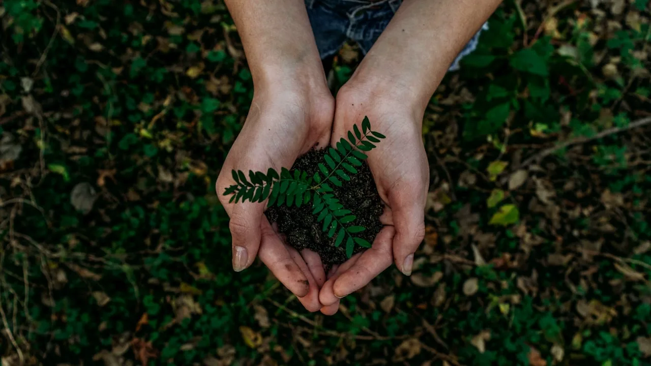Équipes cynégétiques et écologues sur le terrain